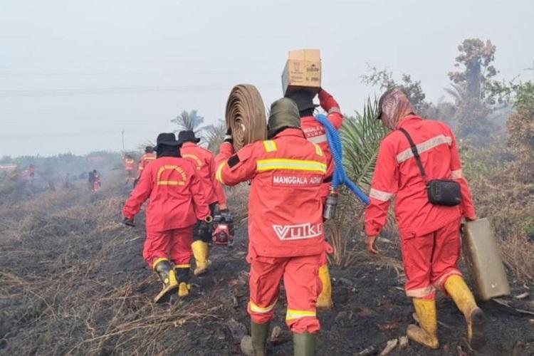 Usai Pelalawan, Riau Bersiap Pula Tetapkan Status Darurat Karhutla Provinsi